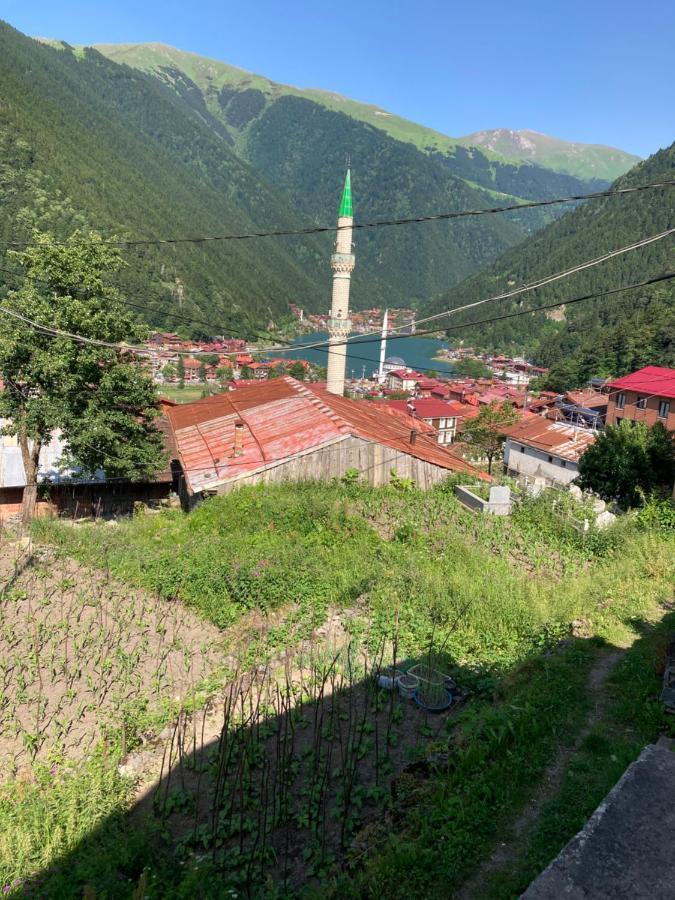 Sefa Apart Aparthotel Uzungol