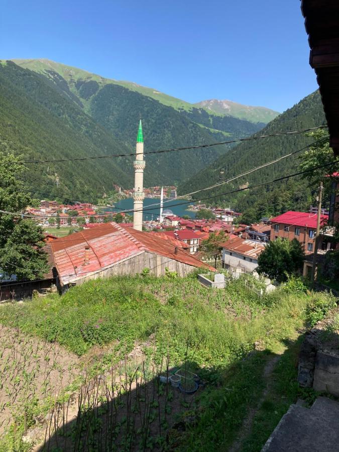 Sefa Apart Uzungöl